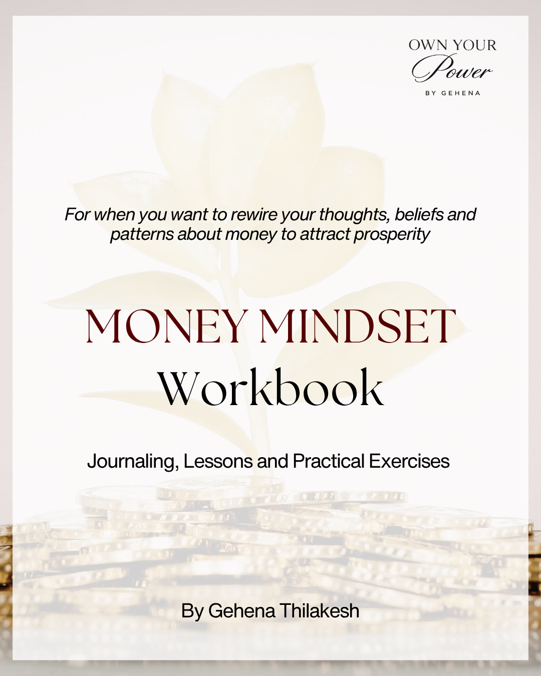 Money Mindset Workbook | Journaling, Lessons and Exercises to Attract Prosperity